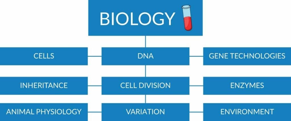 Biology - cells/DNA/gene technologies/inheritance/cell division/enzymes/animal physiology/variation/environment