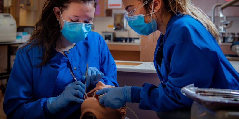 dentistry-students