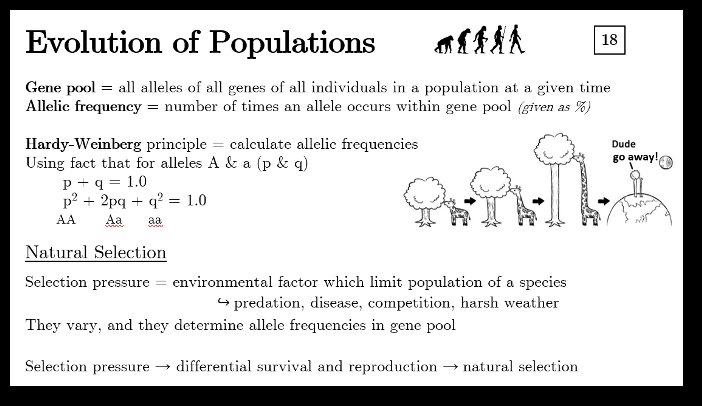 Evolution-Of-Populations-Revision-Notes