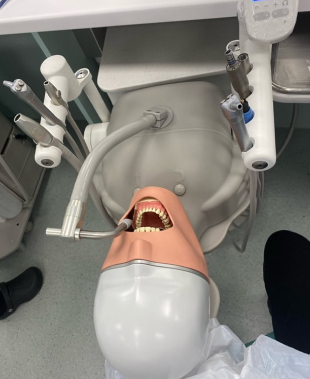phantom head dentistry clinical skills