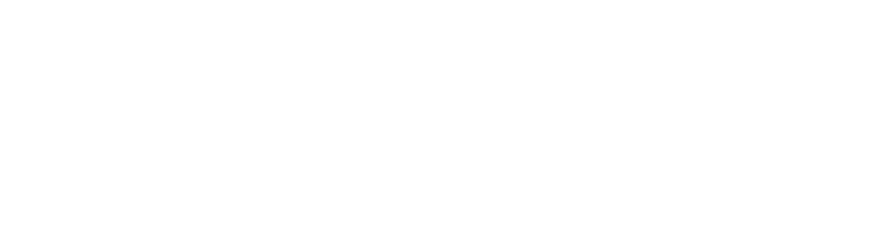Standard Medicine Full Blue Programme Logo
